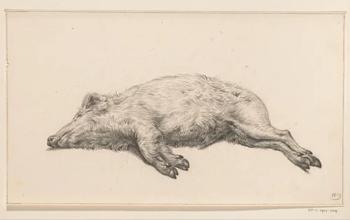 Liggend varken, naar links by Jean Bernard, drawing, 1819