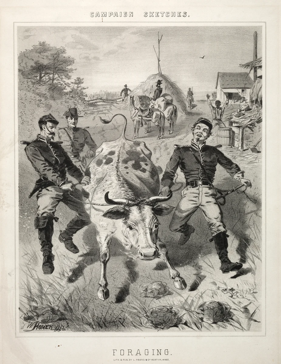 Campaign Sketches: Foraging by Winslow Homer, print, 1863