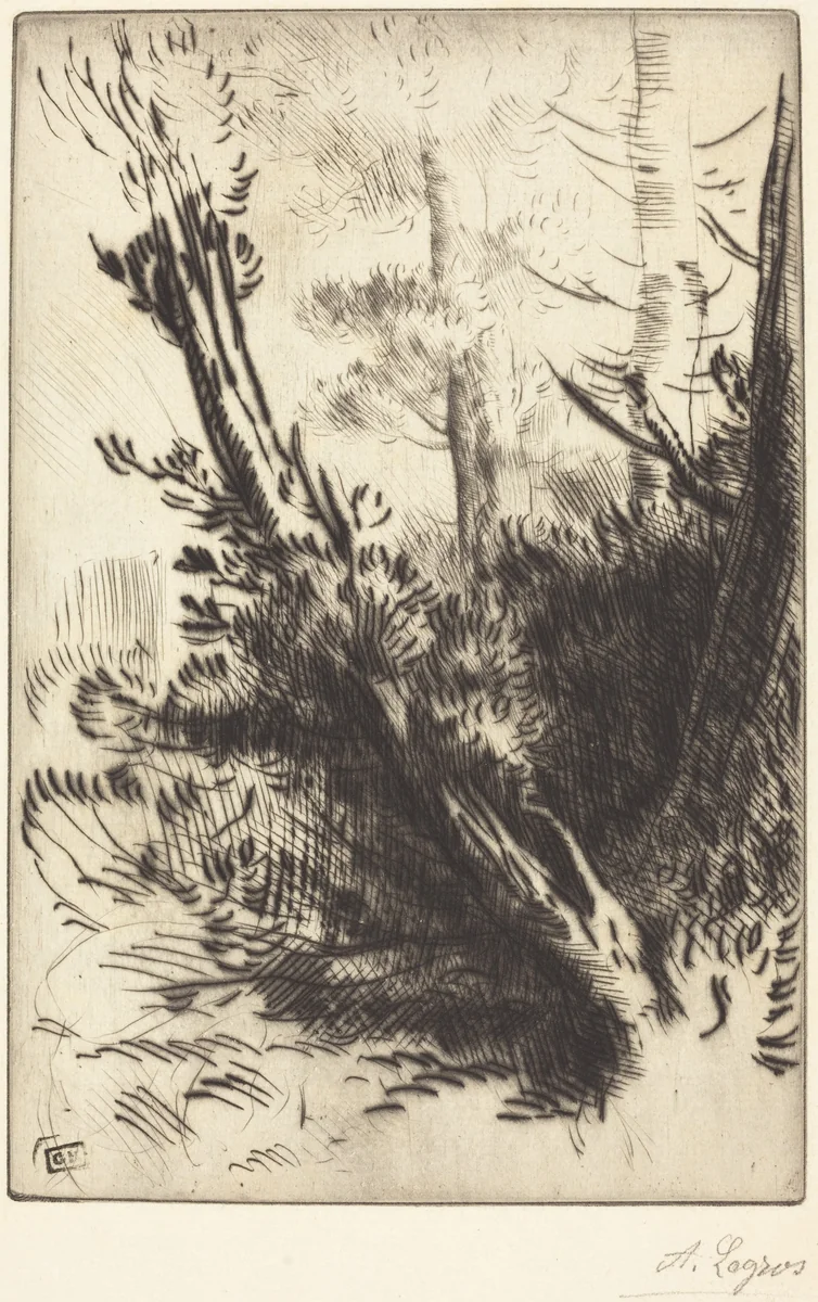 In the Woods (Dans les bois) by Alphonse Legros, print, 1837-1911