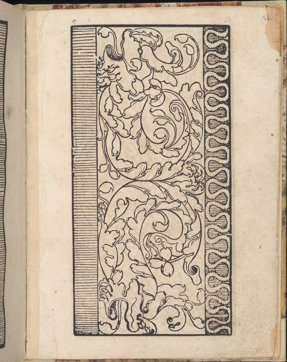 Ein new getruckt model Büchli...Page 20, verso by Johann Schönsperger, book, 1529