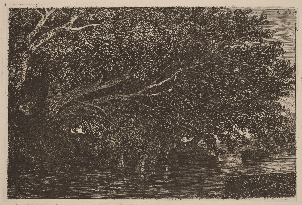 Trees Overhanging a Pond by Alexandre Calame, portfolio, 1838-1850