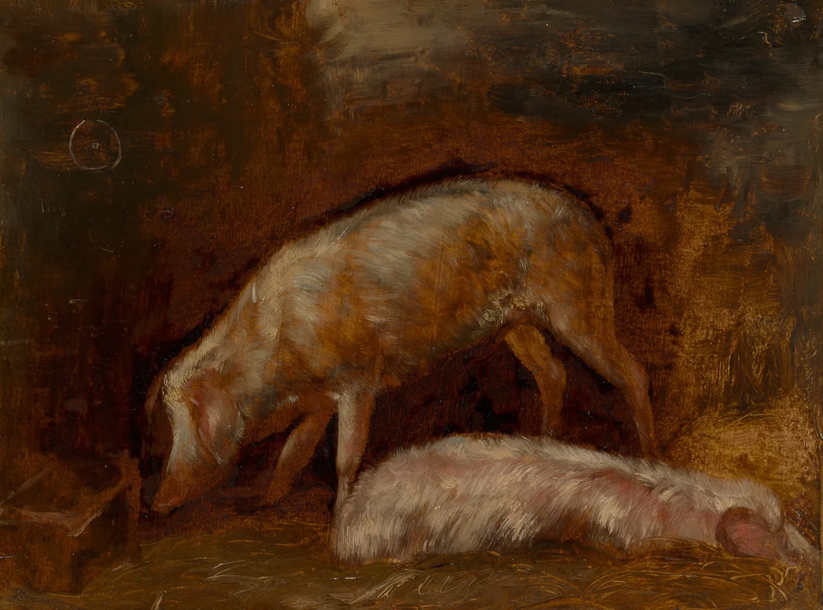 Study of Pigs by Alexandre-Gabriel Decamps, painting, 1850-1860