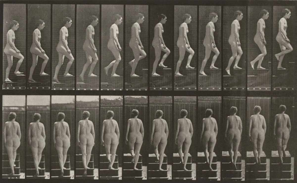 Plate Number 92. Ascending stairs by Eadweard Muybridge, photograph, 1887
