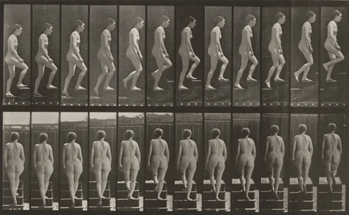 Plate Number 92. Ascending stairs by Eadweard Muybridge, photograph, 1887