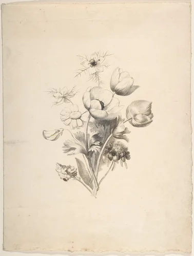 Floral Design by Antoine Berjon, drawing, 1770-1843