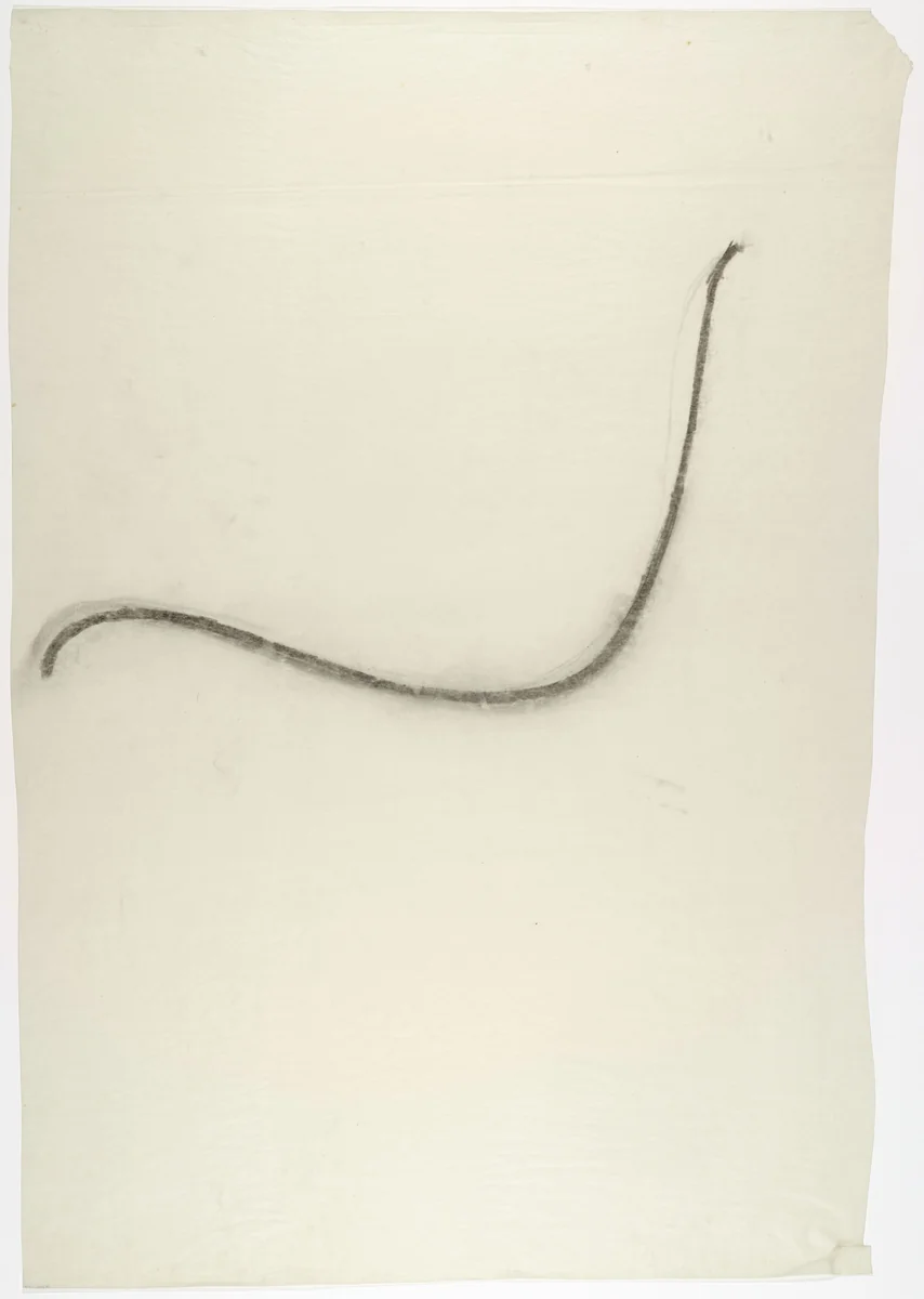 Chair Seat Curve by Lilly Reich, mies van der rohe archive, 1931