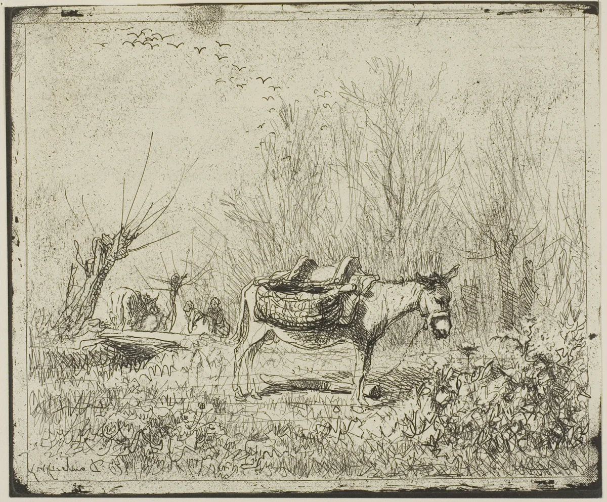 The Donkey in the Meadow by Charles-François Daubigny, print, 1862