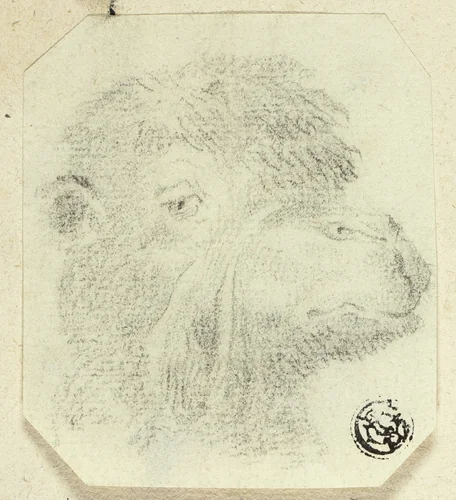 Camel's Head Facing Right by Unknown Artist, drawing, 1800-1899
