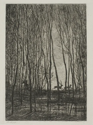 Stags in the Woods by Charles-François Daubigny, print, 1850