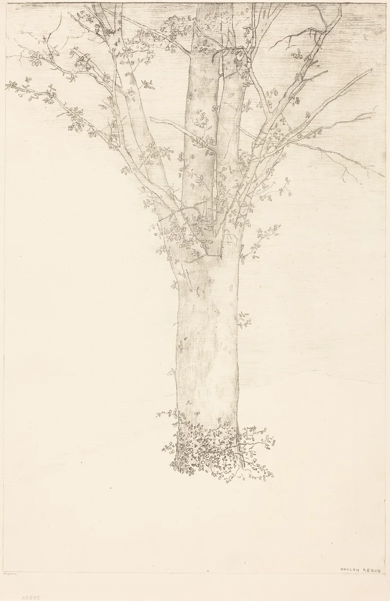 Arbre (Tree) by Odilon Redon, print, 1892