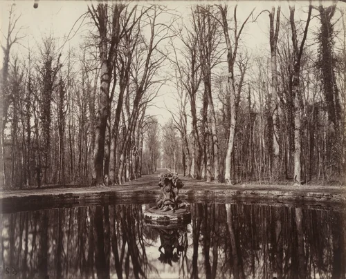 Grand Trianon. Coin de parc by Eugène Atget, photograph, 1902