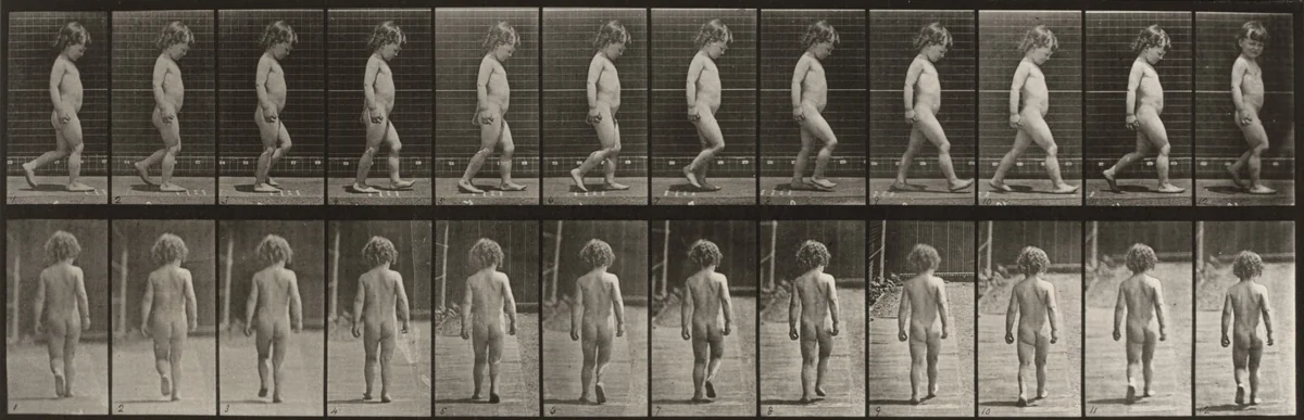 Plate Number 467. Child walking by Eadweard Muybridge, photograph, 1887