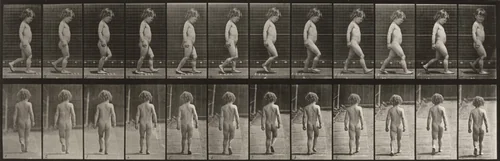 Plate Number 467. Child walking by Eadweard Muybridge, photograph, 1887