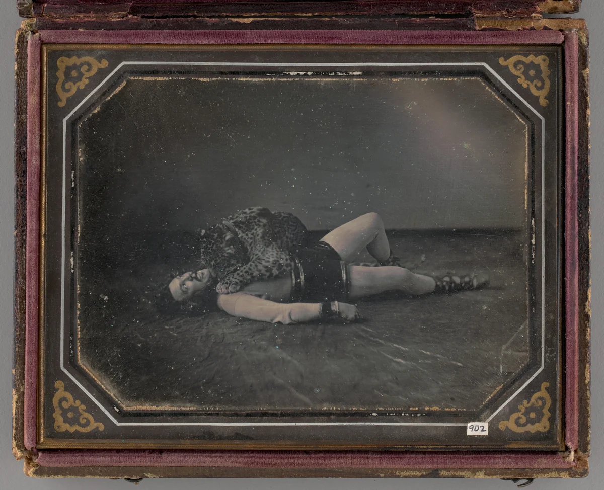 Untitled (Portrait of Wild Animal Tamer Jacob Driesbach with Jaguar) by William Langenheim
Frederick Langenheim, other, 1850