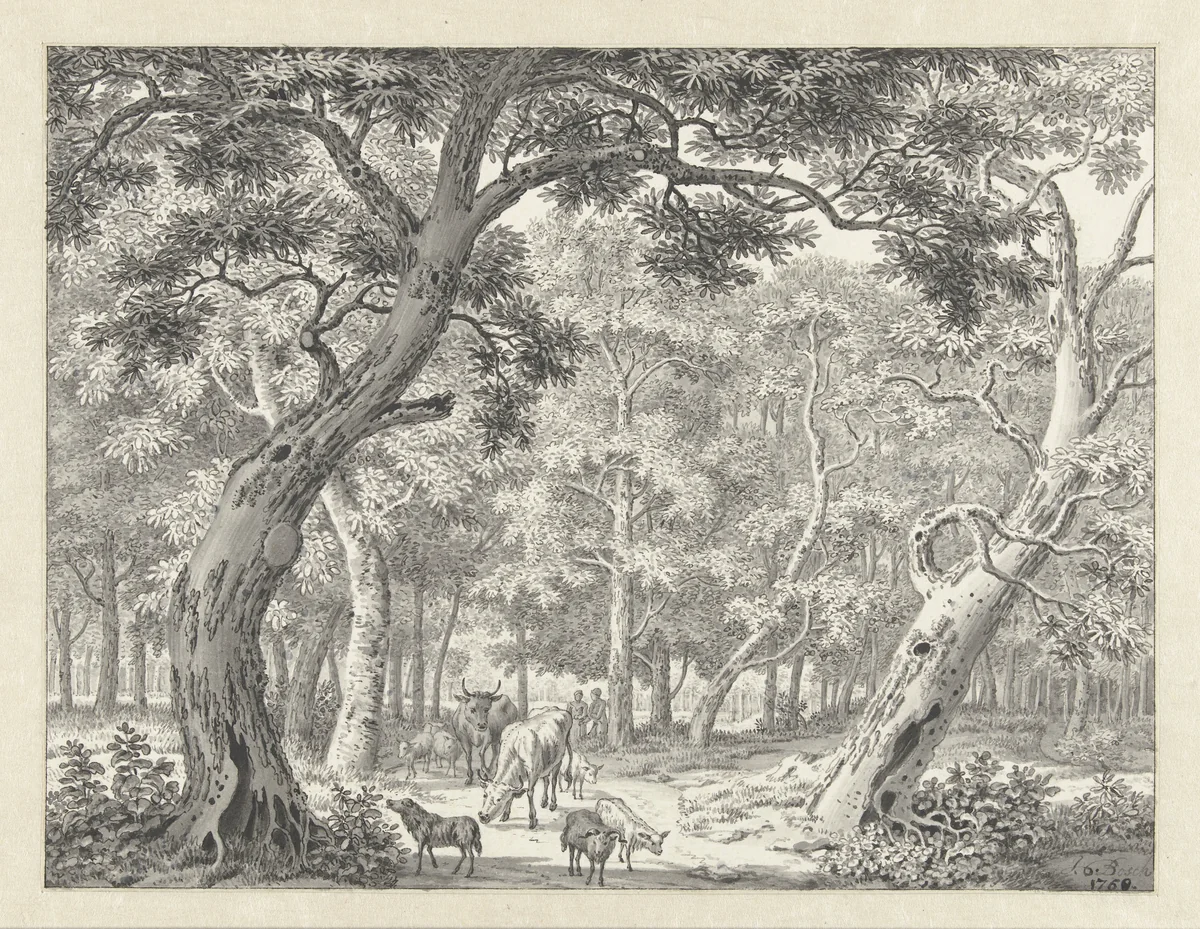 Bosgezicht met vee op een pad by Joannes de Bosch, drawing, 1760