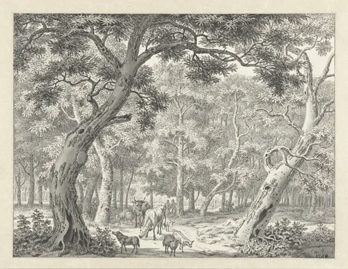Bosgezicht met vee op een pad by Joannes de Bosch, drawing, 1760