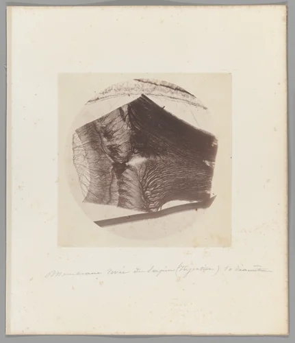 [Untitled] by Auguste-Adolphe Bertsch, photograph, 1853-1857