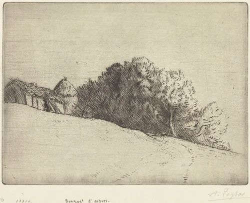 Stand of Trees (Bouquet d'arbres) by Alphonse Legros, print, 1837-1911