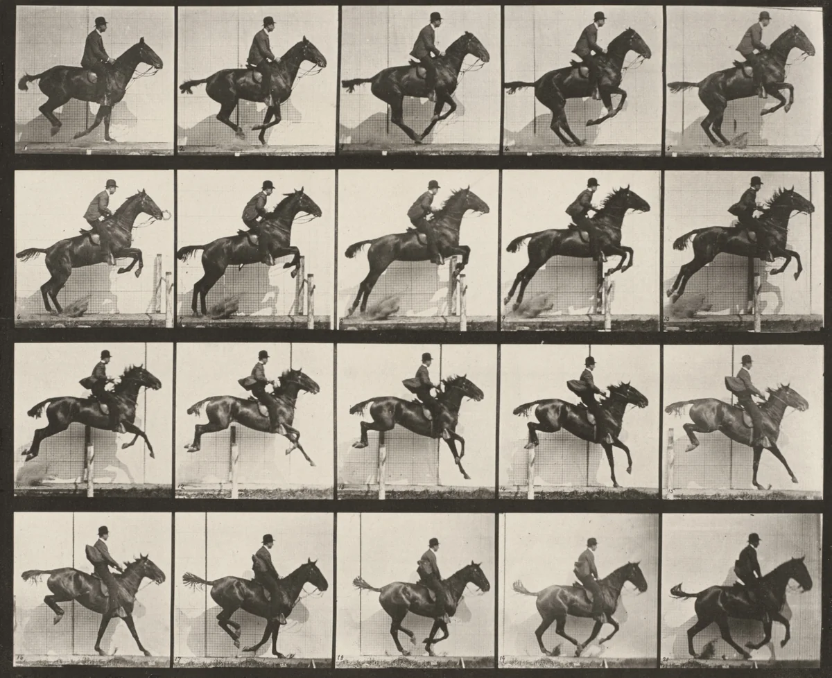 Plate Number 640. "Daisy" jumping a hurdle, saddled by Eadweard Muybridge, photograph, 1887