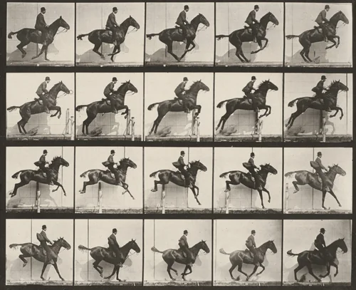 Plate Number 640. "Daisy" jumping a hurdle, saddled by Eadweard Muybridge, photograph, 1887