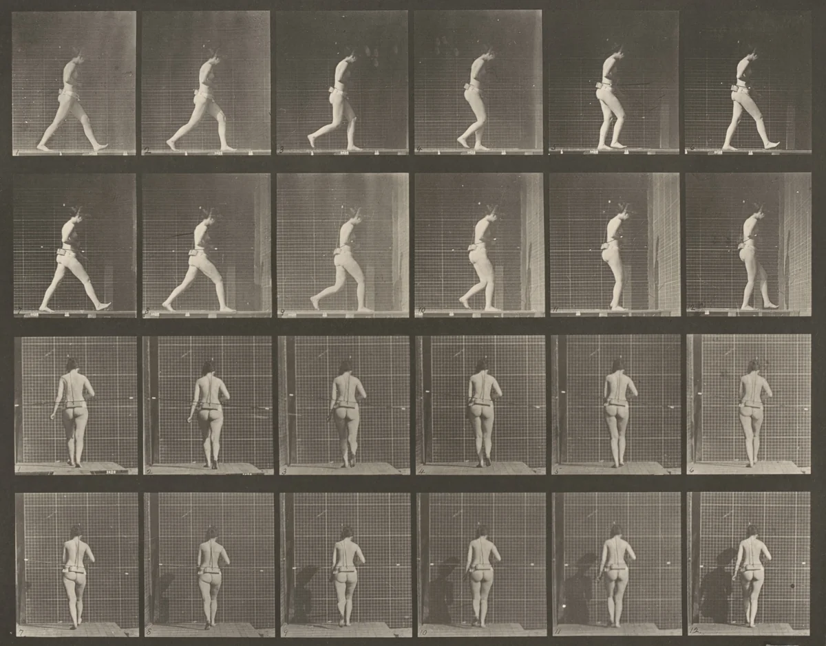 Plate Number 20. Walking, right elbow bent by Eadweard Muybridge, photograph, 1887