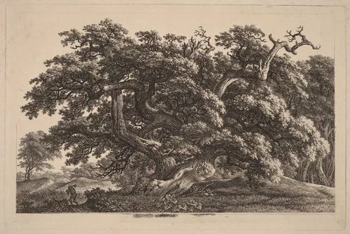 A Widely Expanding Oak Tree by Carl Wilhelm Kolbe, print, 1825-1830