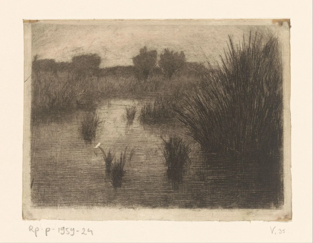 Landschap met water en riet by Jan Veth, print, 1887
