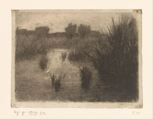 Landschap met water en riet by Jan Veth, print, 1887