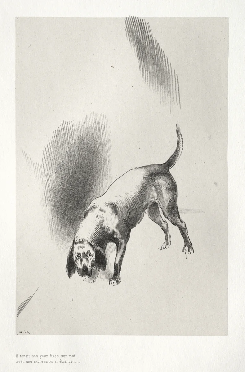 He Fixed His Eyes on Me with an Expression That Was So Strange by Odilon Redon, print, 1896