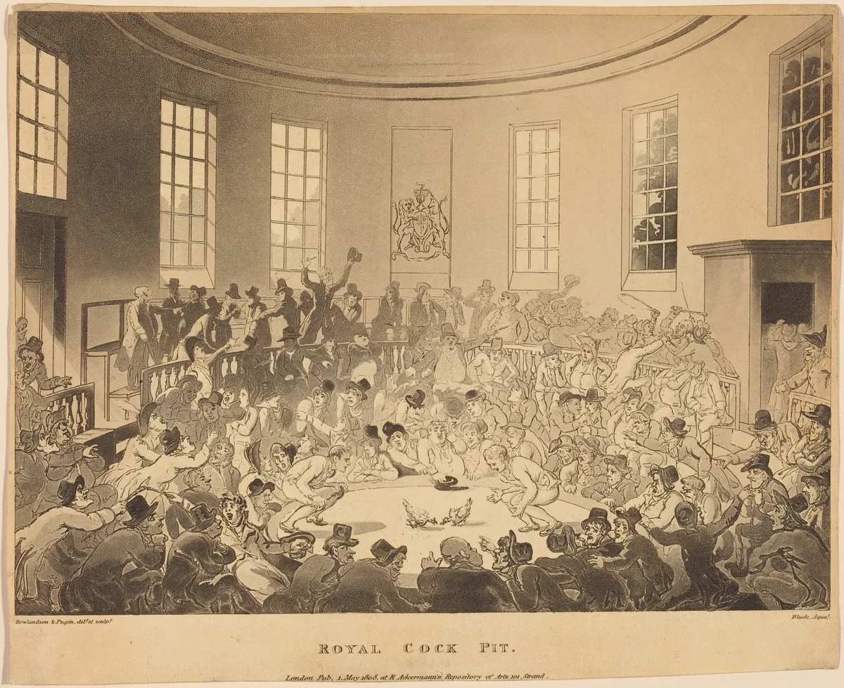 Royal Cock Pit by Thomas Rowlandson, print, 1808