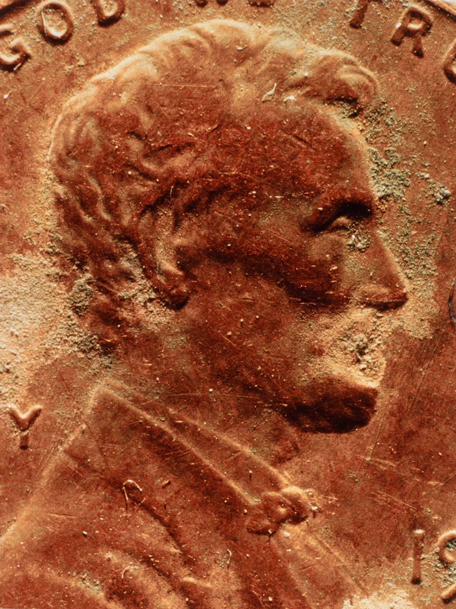 Copperhead #22 by Moyra Davey, photograph, 1990