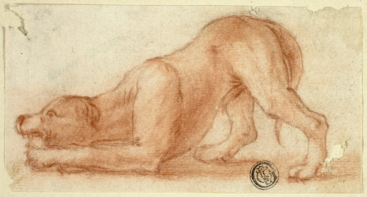 Jumping Furry Dog by Dirk Valkenburg, drawing, 1695-1721