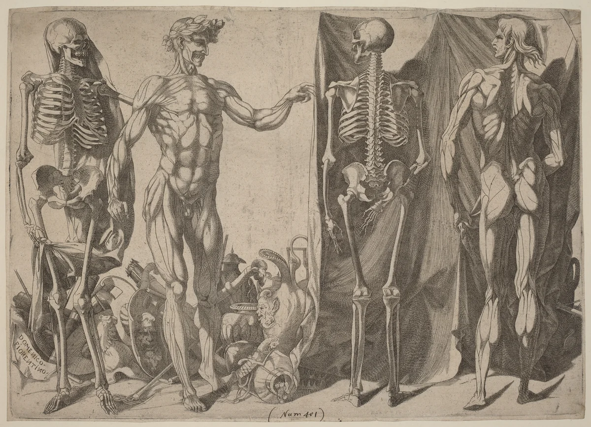 Squelettes et Ecorches by Domenico del Barbiere, print, 1540-1545