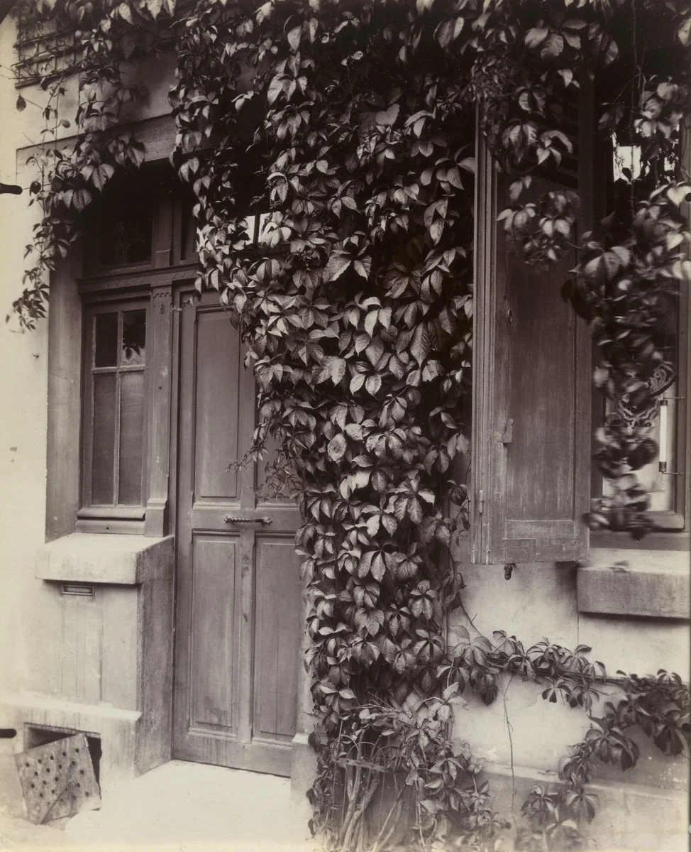Vigne vierge by Eugène Atget, photograph, 1923
