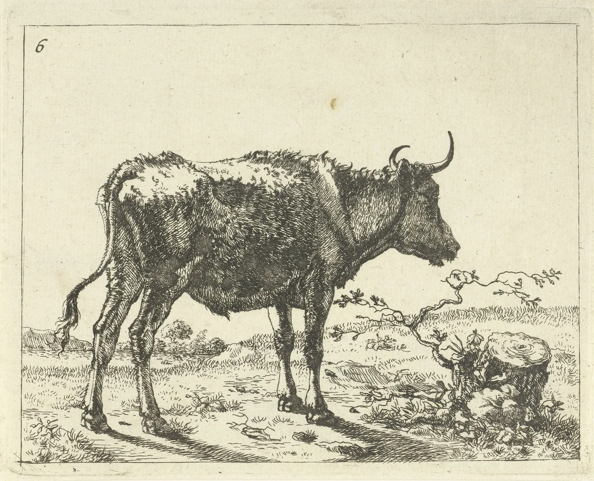 Stier staand bij boomstronk by Marcus de Bye, print, 1657-1677