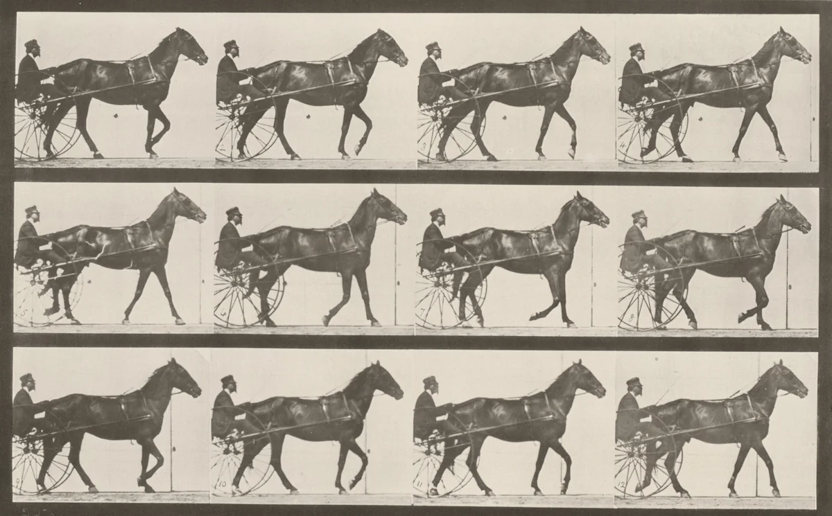 Plate Number 605. "Reuben" trotting, harnessed to sulky by Eadweard Muybridge, photograph, 1887