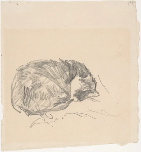 A Cat Curled Up, Sleeping by Edouard Manet, drawing, 1861