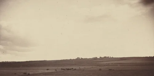 View of Fields with Cows by British 19th Century, photograph, 1860-1869