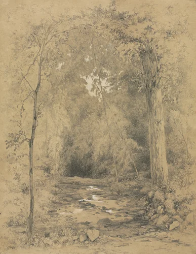 Forest Interior by John Henry Hill, drawing, 1865-1875