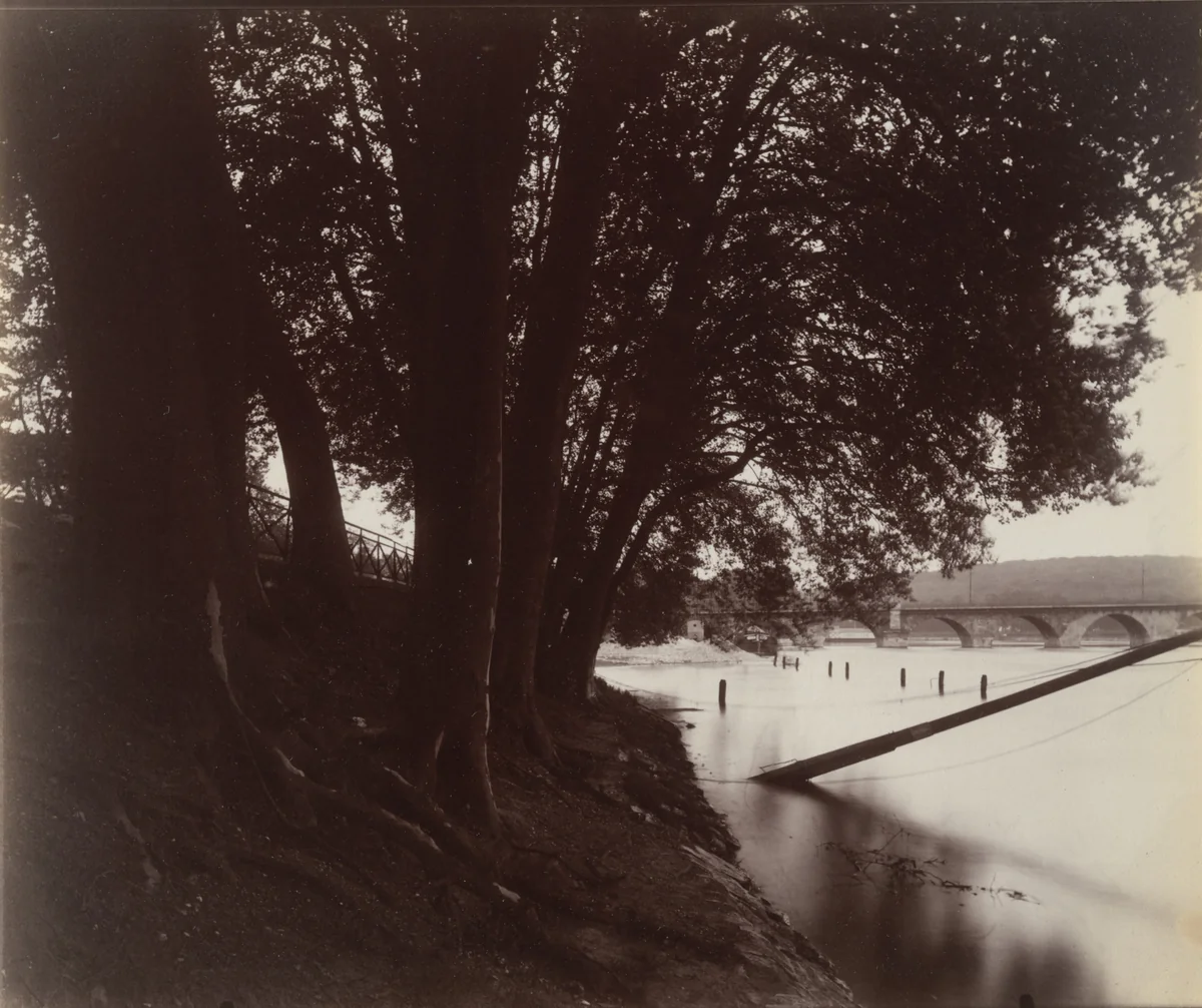 Saint-Cloud by Eugène Atget, photograph, 1923