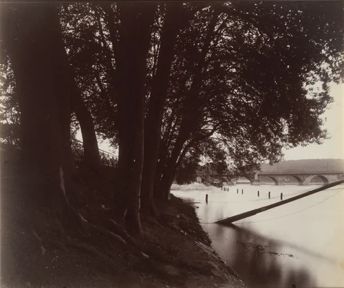 Saint-Cloud by Eugène Atget, photograph, 1923