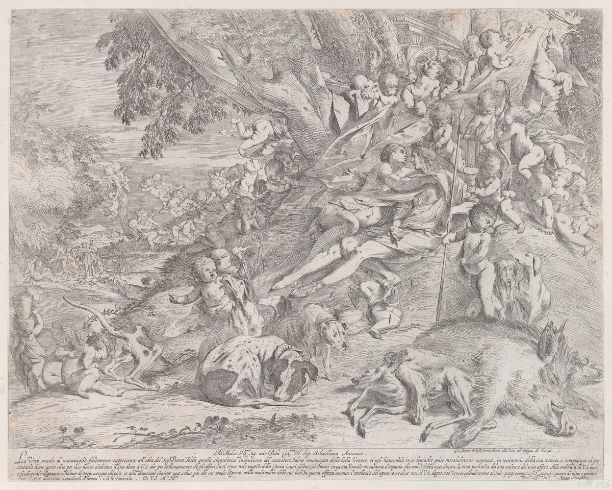Venus and Adonis, surrounded by many putti, reclining after the hunt, with a dead boar in the lower right by Pietro Testa, print, 1630-1650
