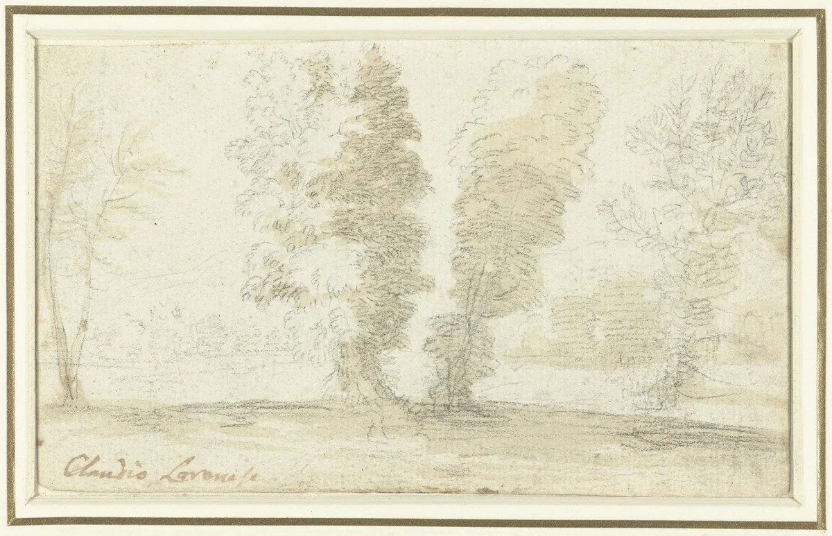 Enkele hoge bomen voor een open veld by Claude Lorrain, drawing, 1610-1680