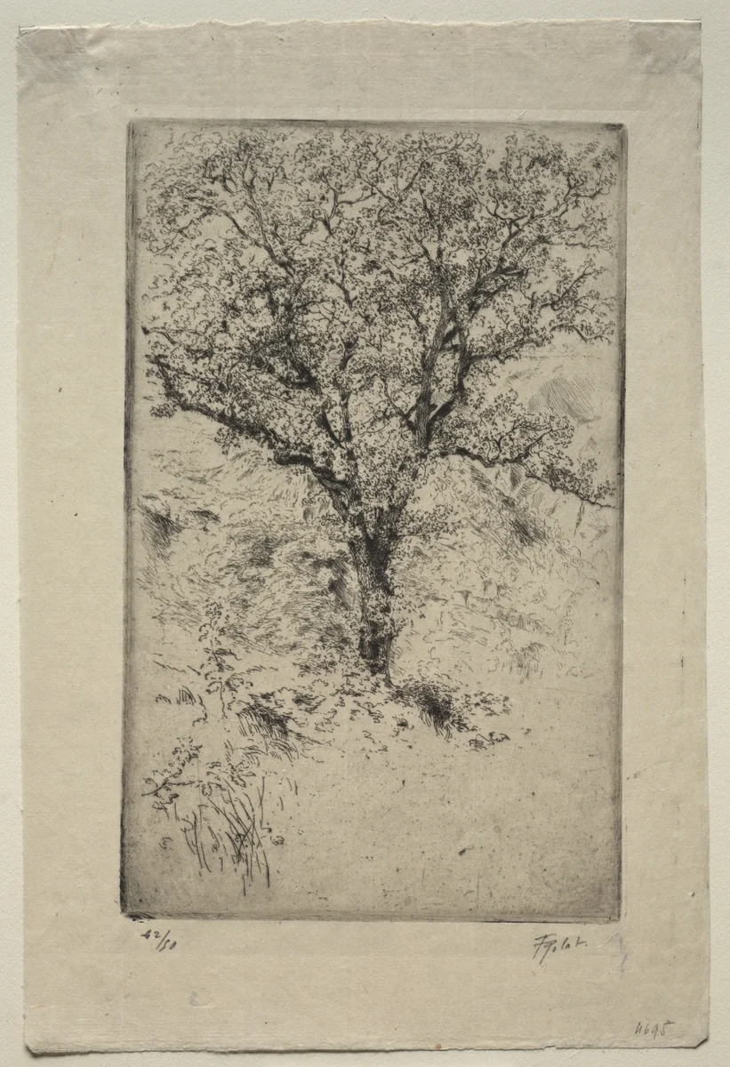 The Great Oak Tree, Monte Oliveto by Tigrane Polat, print, 1900-1925
