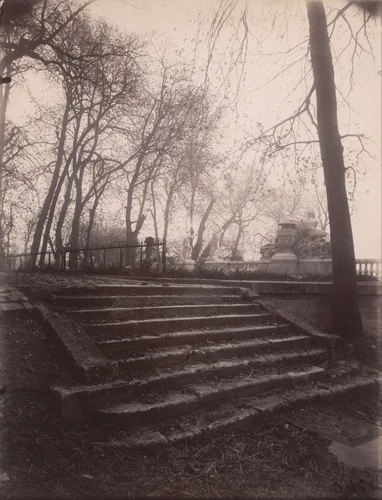 Saint-Cloud by Eugène Atget, photograph, 1924