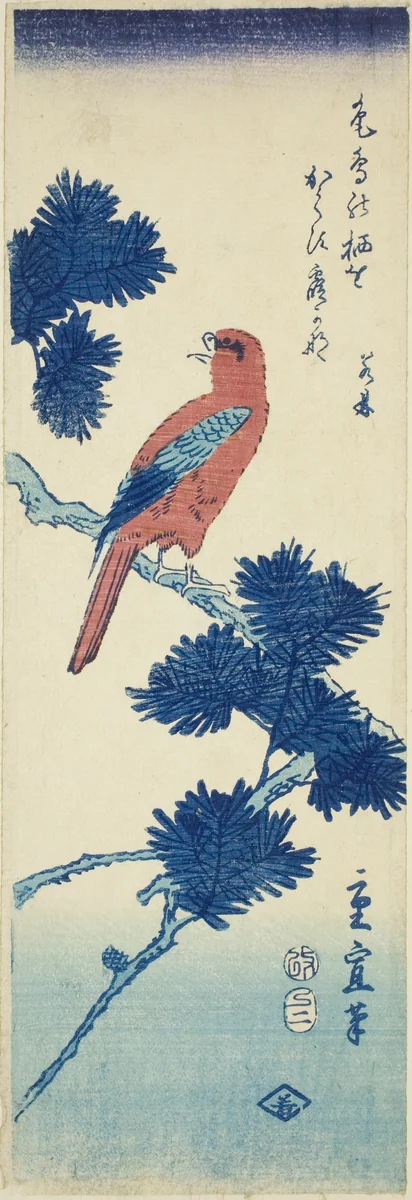 Bird on pine tree by Utagawa Hiroshige II (二代目歌川広重), print, 1857