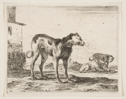 Dogs, plate 11 from "Various Animals" (Diversi Animali) by Stefano della Bella, print, 1636-1646