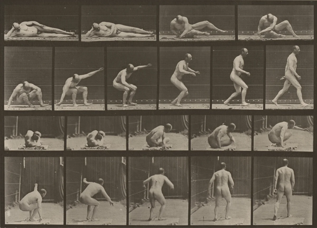 Plate Number 258. Arising from the ground and walking off by Eadweard Muybridge, photograph, 1887