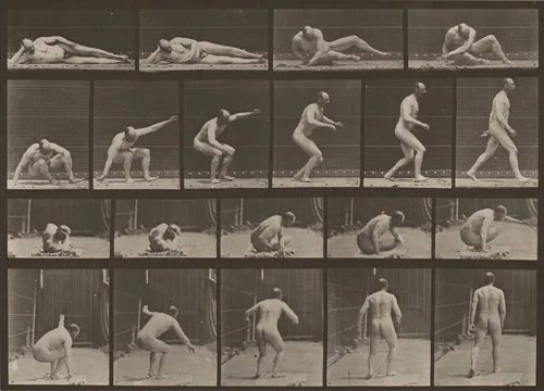 Plate Number 258. Arising from the ground and walking off by Eadweard Muybridge, photograph, 1887