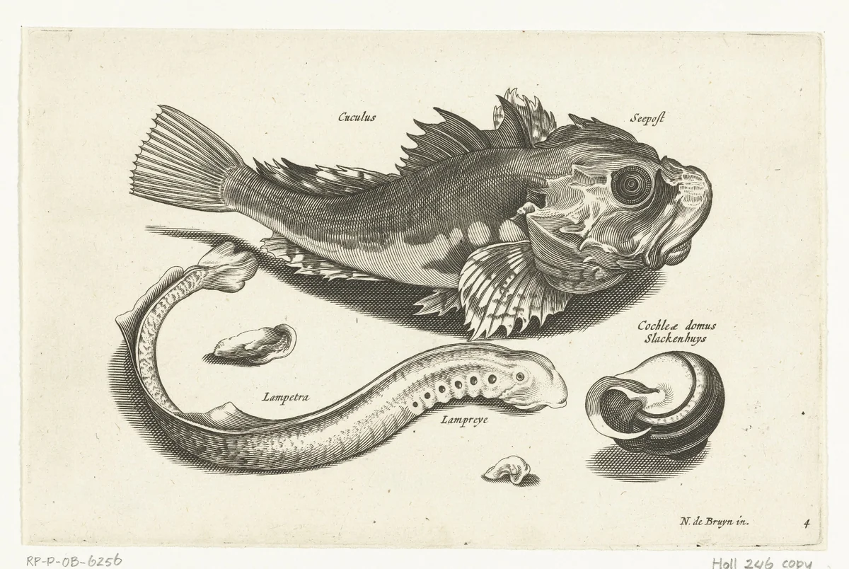 Poon, prik en slakkehuis by anonymous, print, 1581-1652